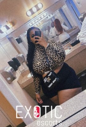 Shantyz