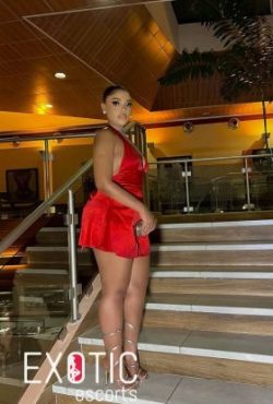 tamale escorts